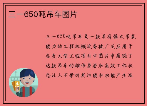 三一650吨吊车图片