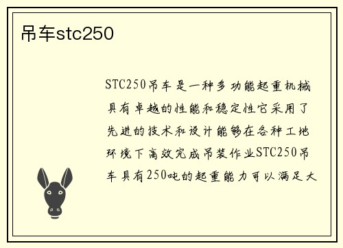 吊车stc250
